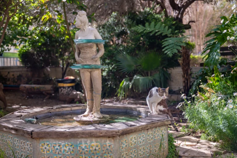 ייצרה בבירה